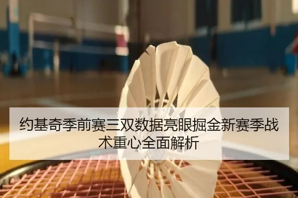 约基奇季前赛三双数据亮眼掘金新赛季战术重心全面解析